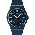 Часы Swatch Gent Biosourced Lacquered SO28N118